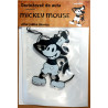 Voňačka do auta Mickey Mouse